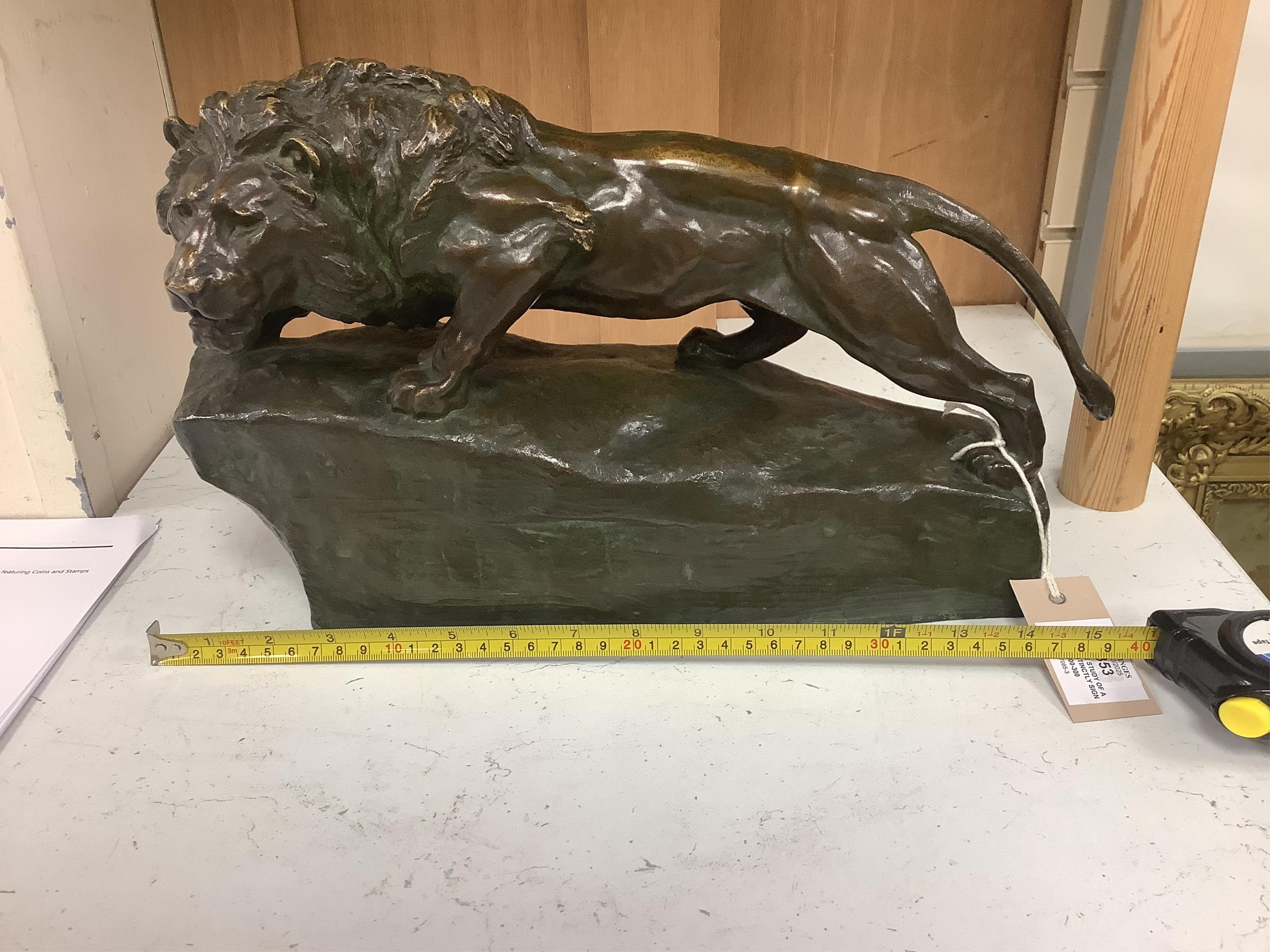 A bronze study of a lion, indistinctly signed and dated 1905, 40cm wide. Condition - good